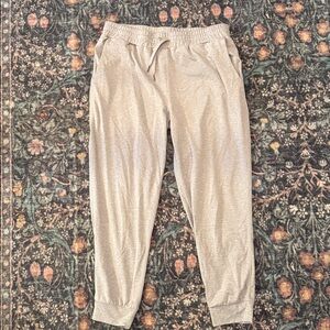Quince gray Jogger Pants